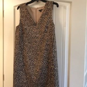 Ann Taylor dress